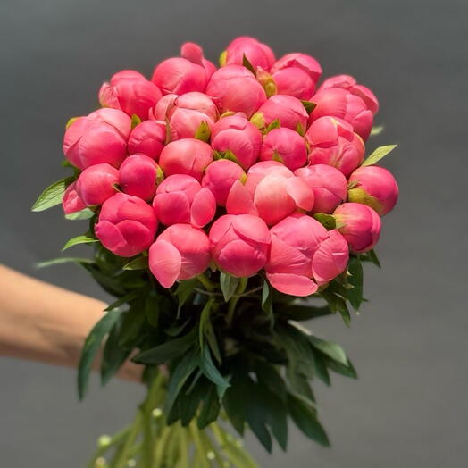 Пионы коралловые Отборные