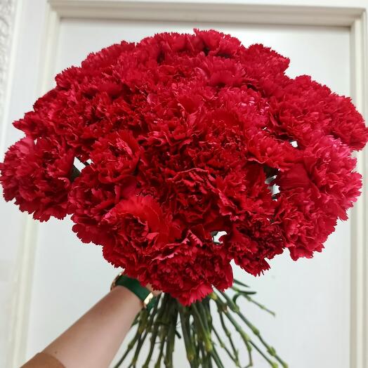 Букет из 35 красных гвоздик (диантусов)