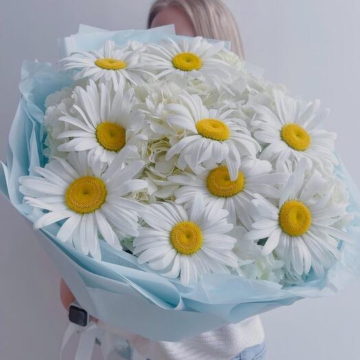 Ромашки с белой гортензией 🌸