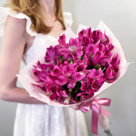 Purple alstroemeria