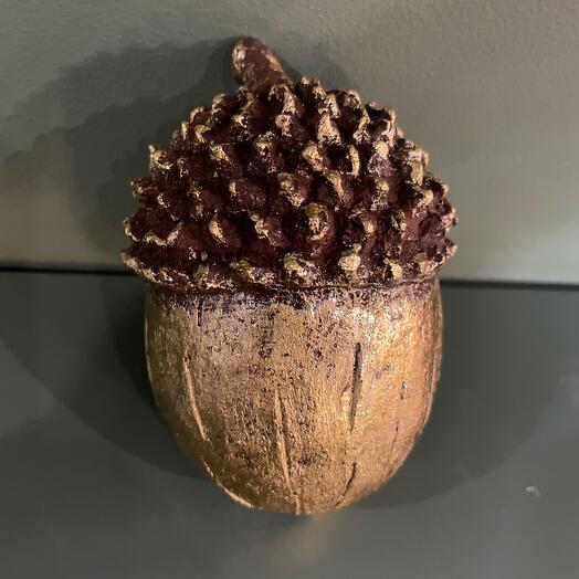 Желудь золотой