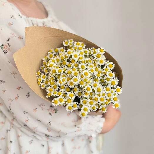 Букет ромашек 9 шт в крафте «Полевой»