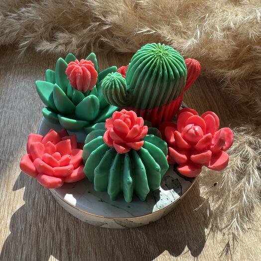 Мыло ручной работы «Кактус» с ароматом ванили в подарочной коробке