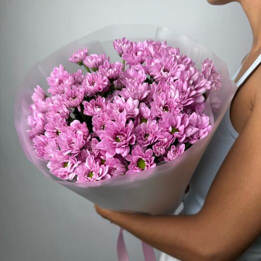 Розовые ромашки