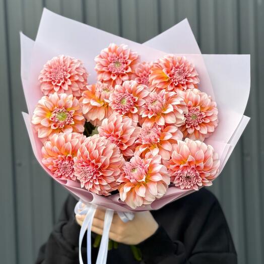 15 шаровидных георгинов Peach 🍑