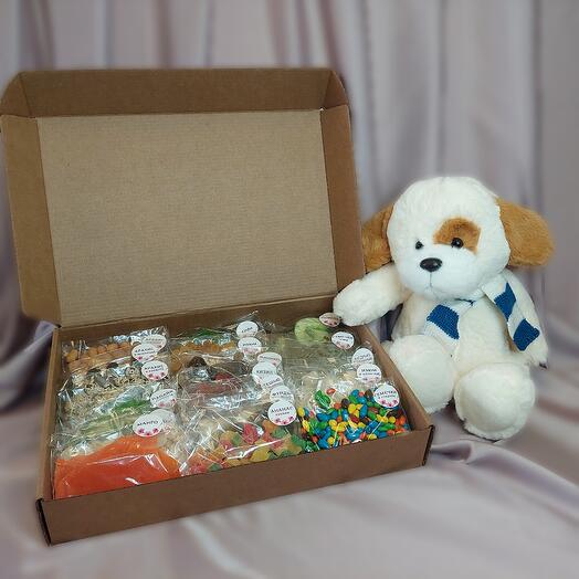 Подарочный набор для любимых ( 20 вкусов, 1000гр.и плюшевый щенок синий)