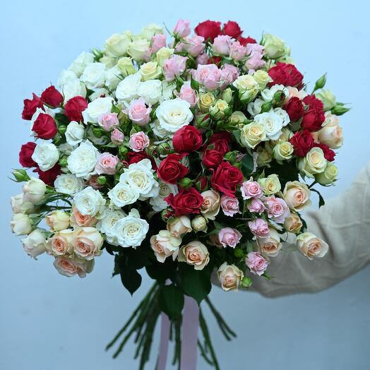 25 sprey rose