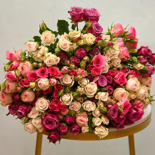 31 sprey rose