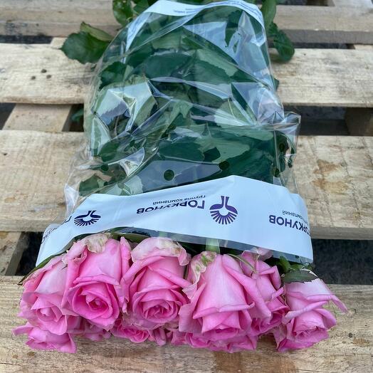 Пачка (15 штук) роз 40 см, Ревиваль