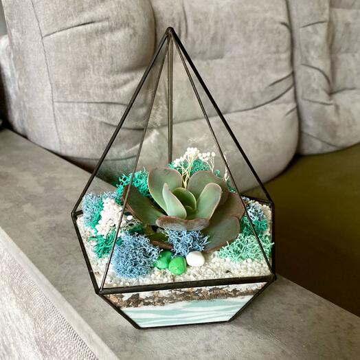 Флорариум «Пирамидка» нежный подарок на день рождения