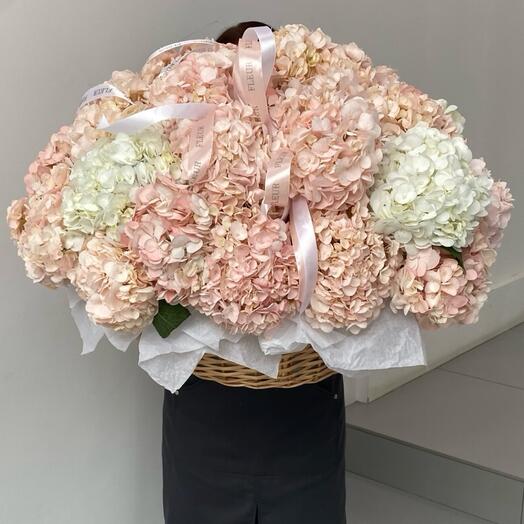 Корзина из 25 гортензий 🎀