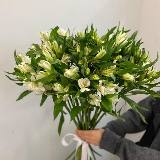 Букет из 15 белых альстромерий