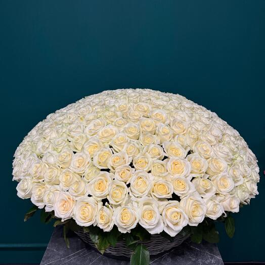 Корзина 301 Белая Роза