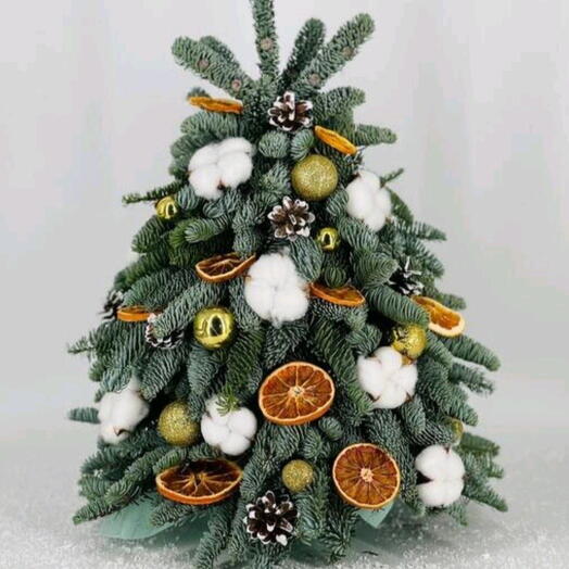 🎄⛄️ Елочка новогодняя, рождественская из живого Датского нобилиса