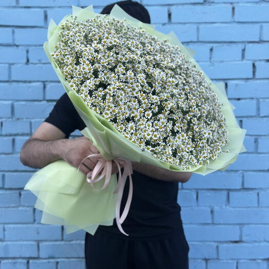 Огромный Букет Ромашек