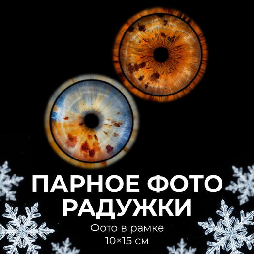 Pair of iris photos + photo in frame 10*15 cm