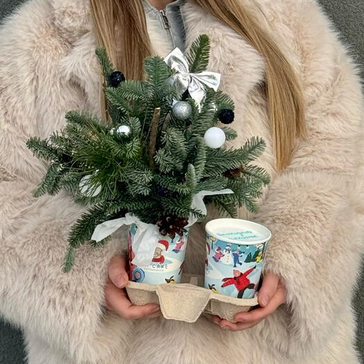 Новогодний подарочный набор «Торт в стаканчике и композиция из нобелиса»