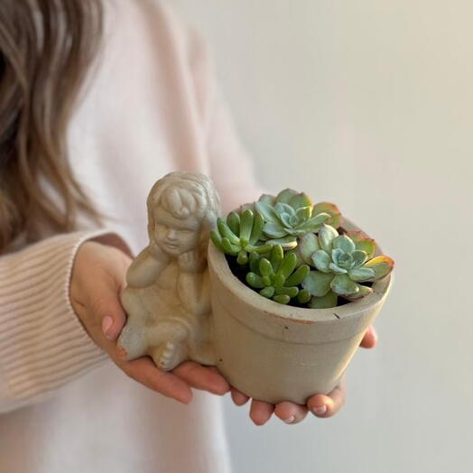 Композиция Angel ( с суккулентами мини)