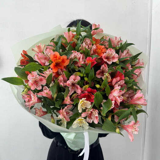 Стойкая Альстромерия