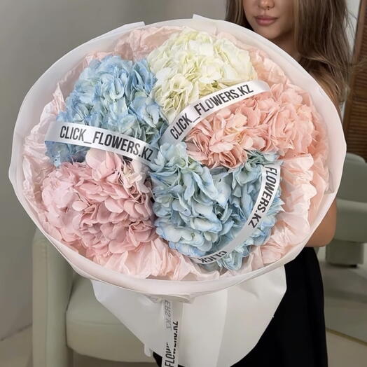 Гортензия M