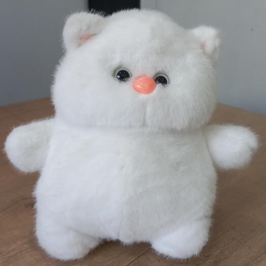 Котик толстячок