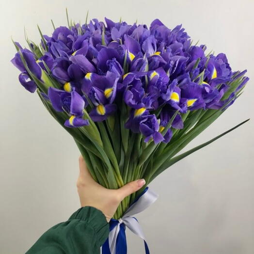 Охапка синих Ирисов 65шт