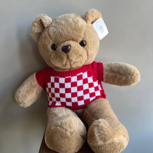 Мишка в кофте