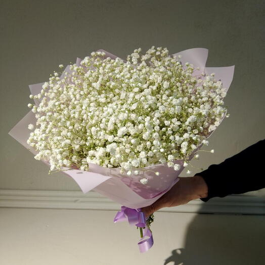 Звездная россыпь (9 веток белой гипсофилы)