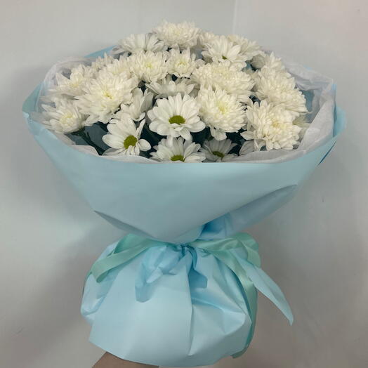 Хризантемы кустовые🩵🤍💐