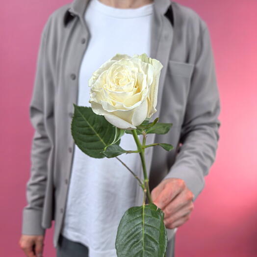 Цветы поштучно. Роза Мондиаль Mondial Эквадор, 1 штука