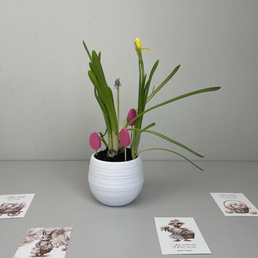 Композиция пасхальная с нарциссом и мускари