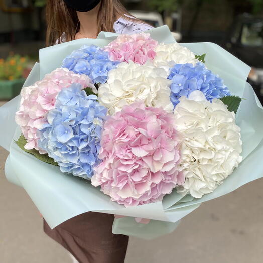 Букет из гортензий микс