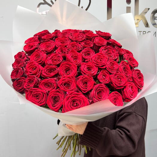 Букет из 51 premium бордовой розы 🌹