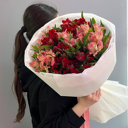 яркая альстромерия