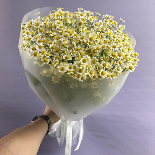 Букет ромашек