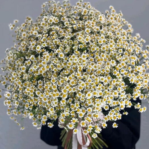 Ромашки