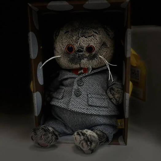 Кот профессор