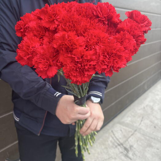Красные гвоздики