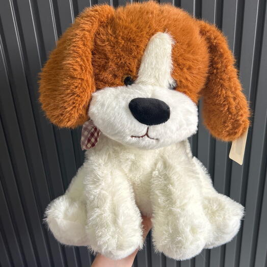 Пушистая собачка 🐶