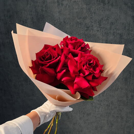 Красные французские розы 🌹