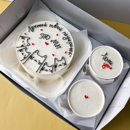 Бенто торт 500 гр. и стаканчики cake to go (трайфлы) до мужчины с котами