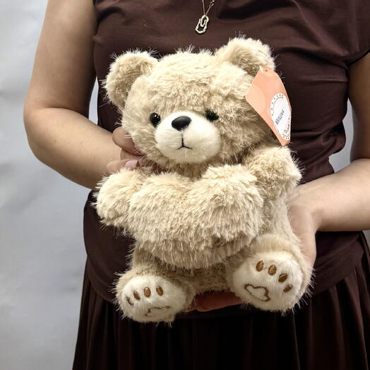 Мишка с сердцем