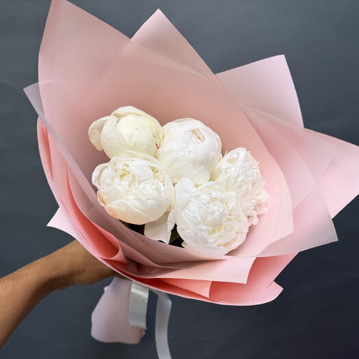 Пионы bowl of cream