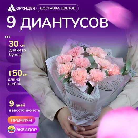 Букет 9 Диантусов розовых