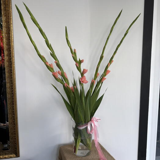 Букет Гладиолус персиковое облако