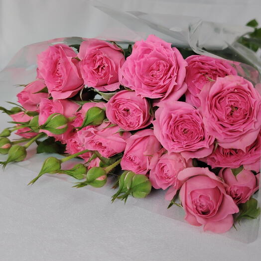 Пачка Кустовые пионовидные розы 5 штук сорт Пинк Дименшен (Pink Dimension), 50 см