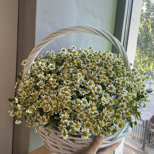 Корзина Ромашек🤍🌼