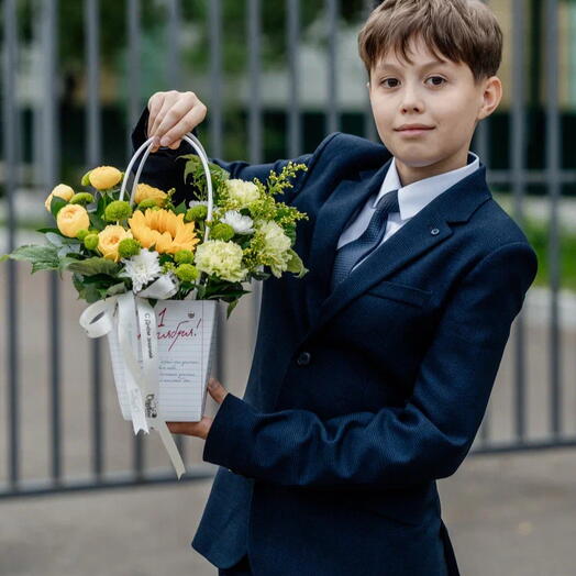 Школьная коллекция