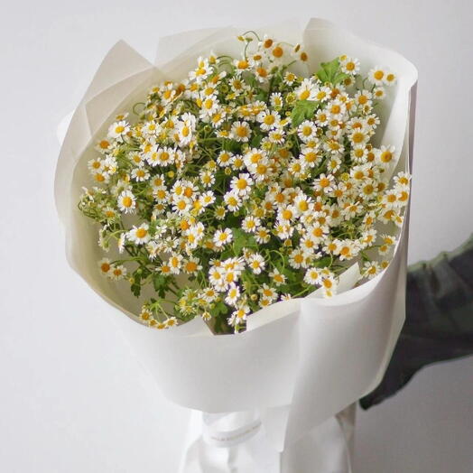 Ромашки 🌼🌼🌼