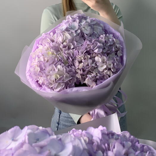 Букет сиреневых гортензий 💜